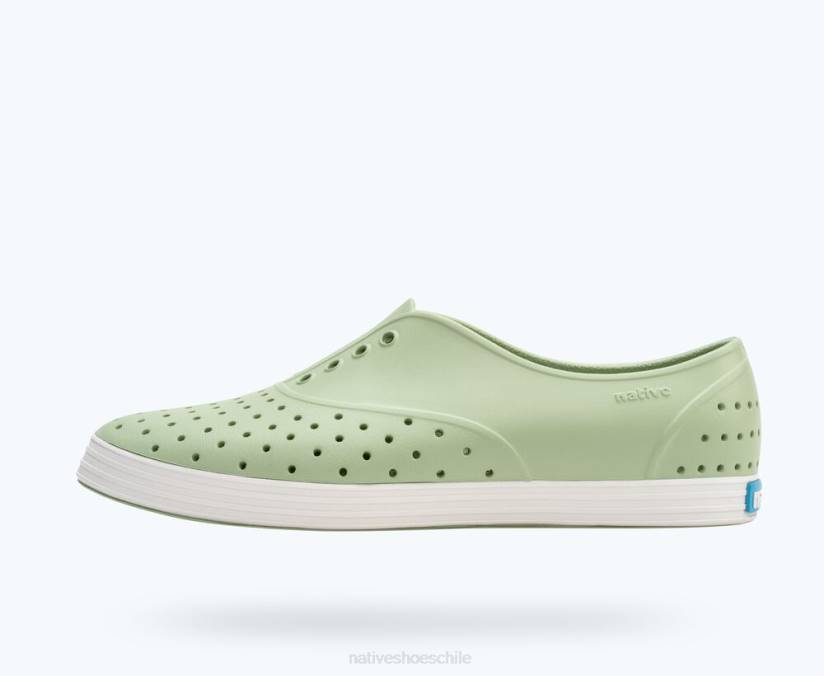 Native Shoes mujer calzado verde té/blanco cáscara H2DZ80 Jericó